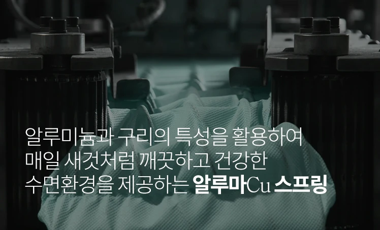 알루마Cu 스프링