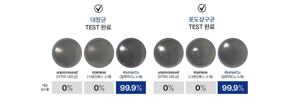 항균 활성 테스트 결과 — 대장균·포도상구균 99.9% 감소